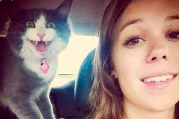 Selfies meet cats